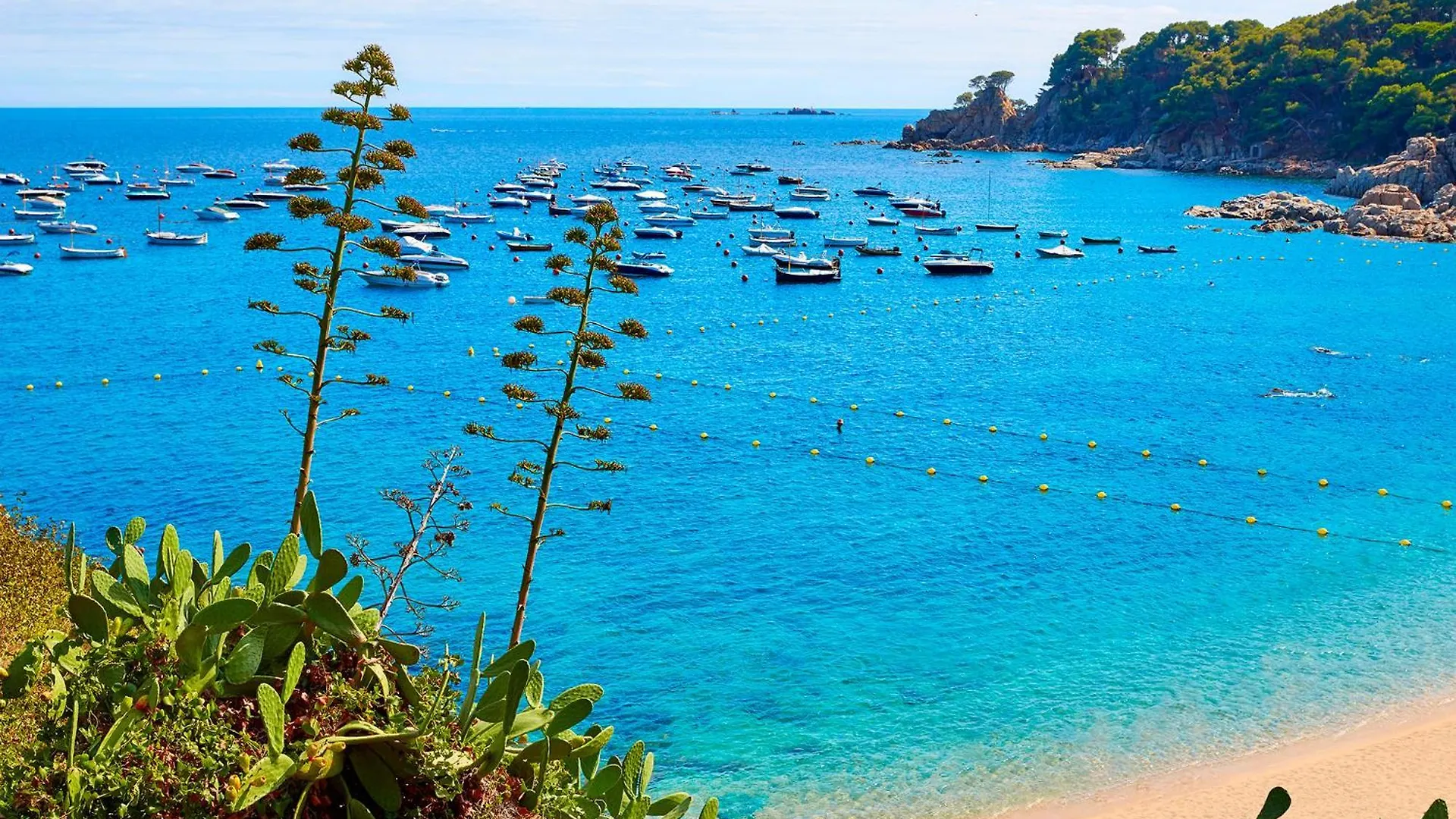 2Vick01 Villa Calella De Palafrugell